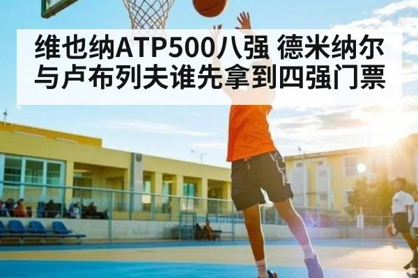 维也纳ATP500八强 德米纳尔与卢布列夫谁先拿到四强门票